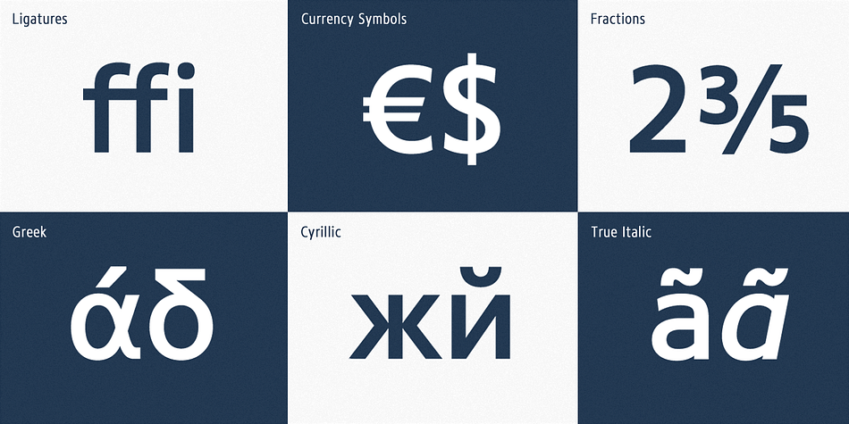 It also supports WGL4, which provides a wide range of character sets (CE, Greek, Cyrillic and Eastern European characters).