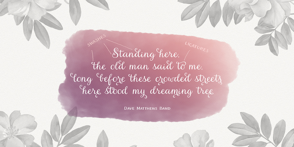 Displaying the beauty and characteristics of the Ariadne font family.