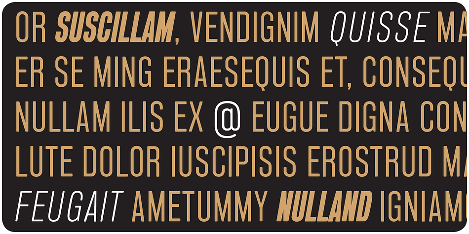 Emphasizing the favorited Blop 11 font family.