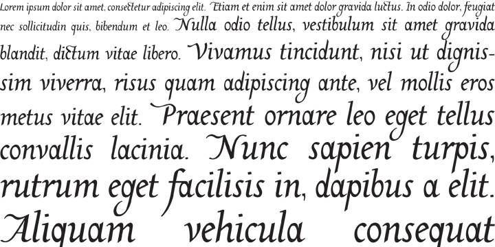His dedication to works and incredible perfection make me fall in love for his typefaces.