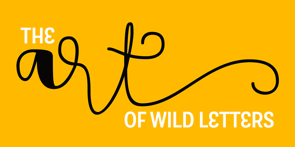 These features are reflected in the polyrhythm of the typeface