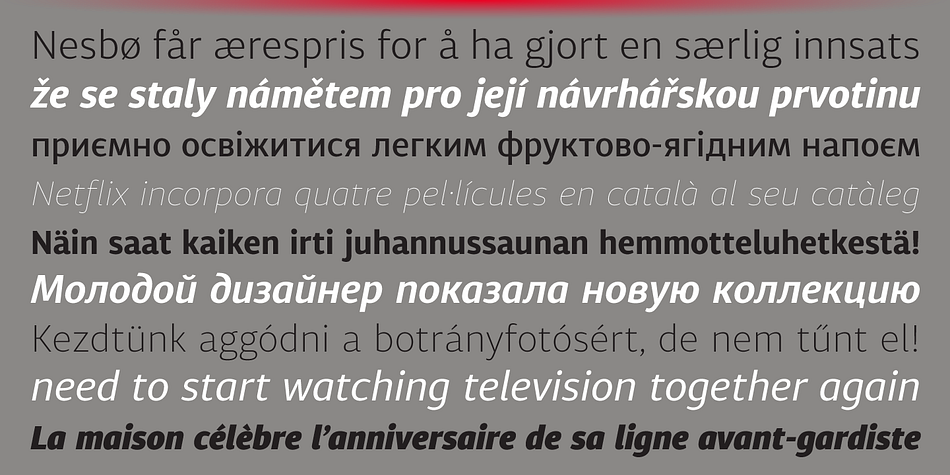 Displaying the beauty and characteristics of the Diaria Sans Pro font family.